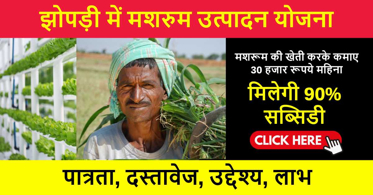 Bihar Mushroom Farming Subsidy Yojana 2024: मशरूम की खेती के लिए मिल रही 50-90% सब्सिडी, ऐसे उठाये योजना का लाभ
