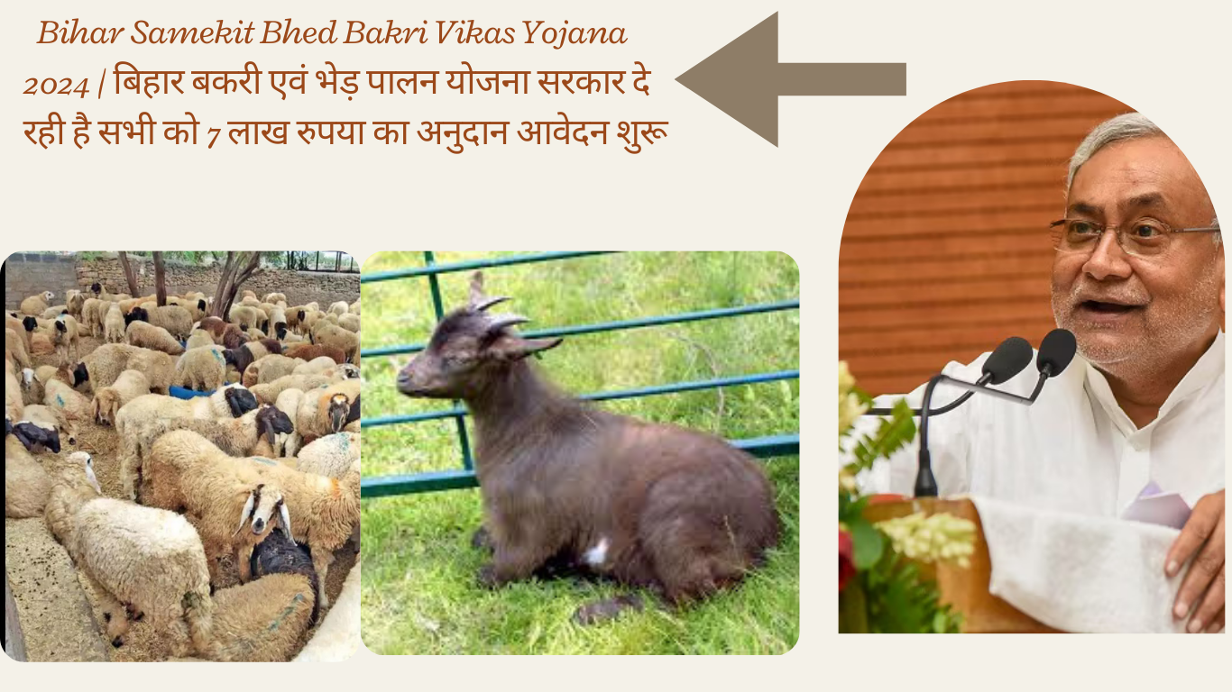  Bihar Samekit Bhed Bakri Vikas Yojana 2024 | बिहार बकरी एवं भेड़ पालन योजना सरकार दे रही है सभी को 7 लाख रुपया का अनुदान आवेदन शुरू