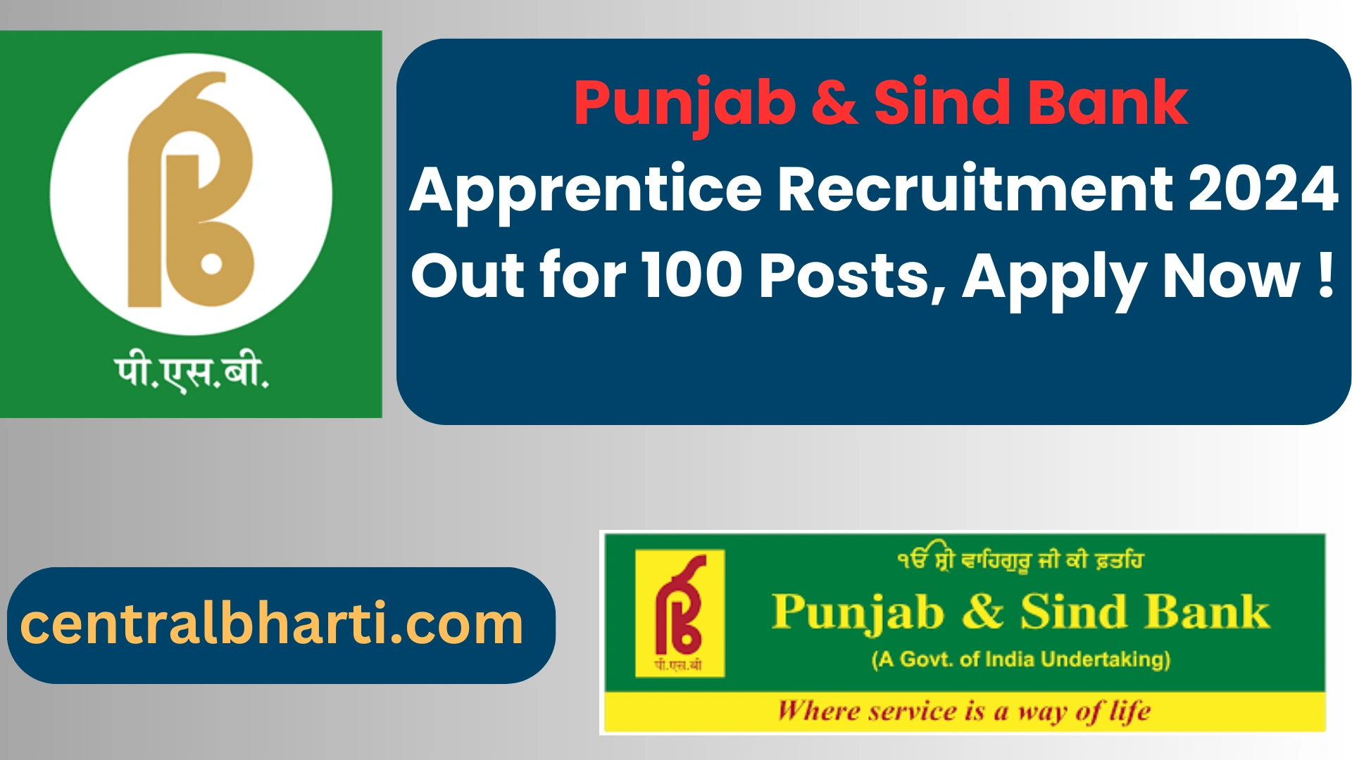 Punjab & Sind Bank Apprentice Recruitment 2024 for 100 Posts, Apply Now