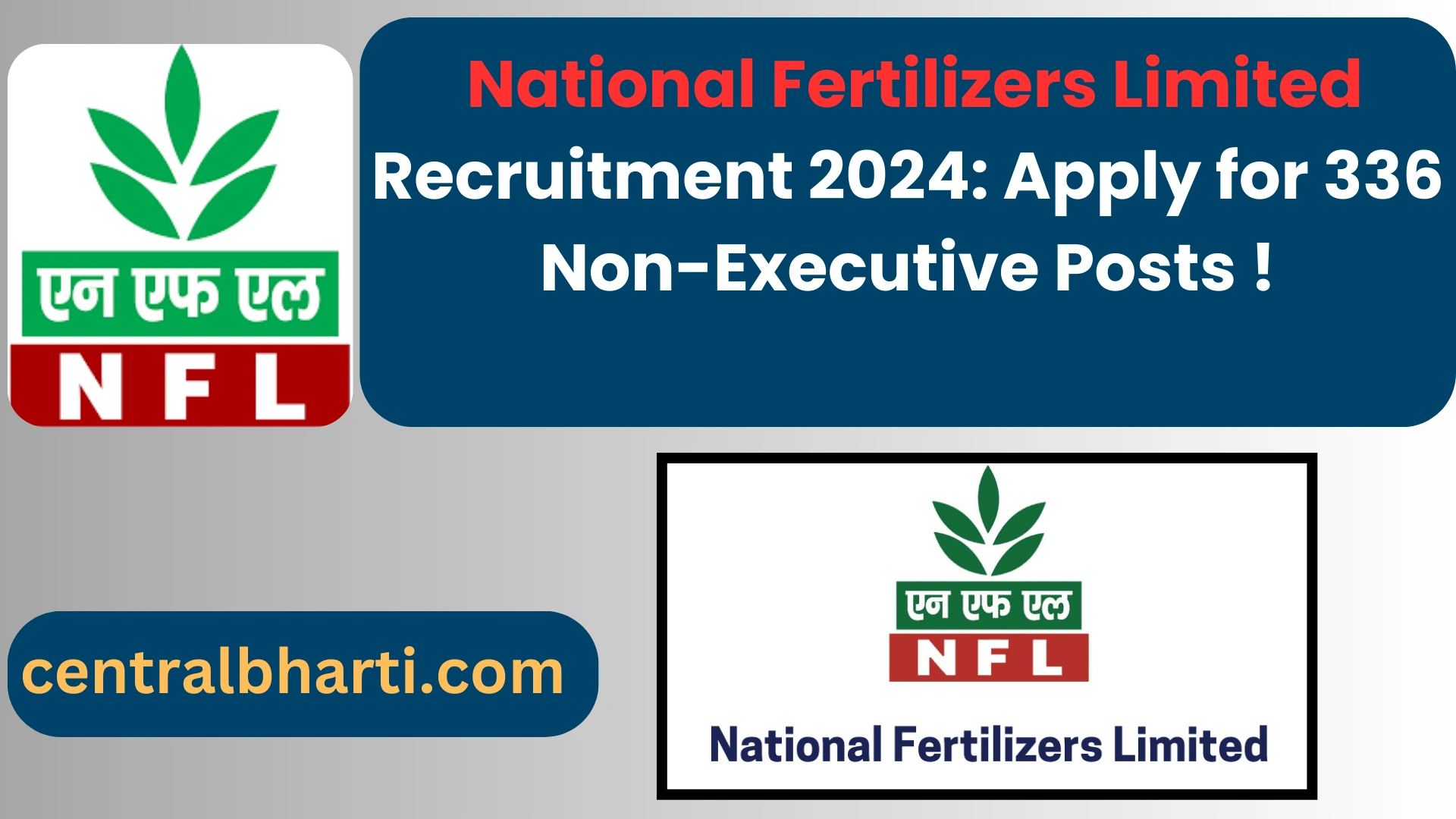 National Fertilizers Limited (NFL)  Recruitment 2024: for 336 Non-Executive Posts Apply Now